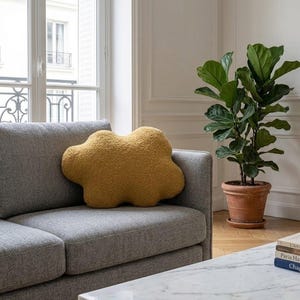 May include: A mustard-yellow cloud-shaped cushion on a grey sofa. A large potted plant with green leaves sits in a terracotta pot. The room has a window and a marble coffee table.