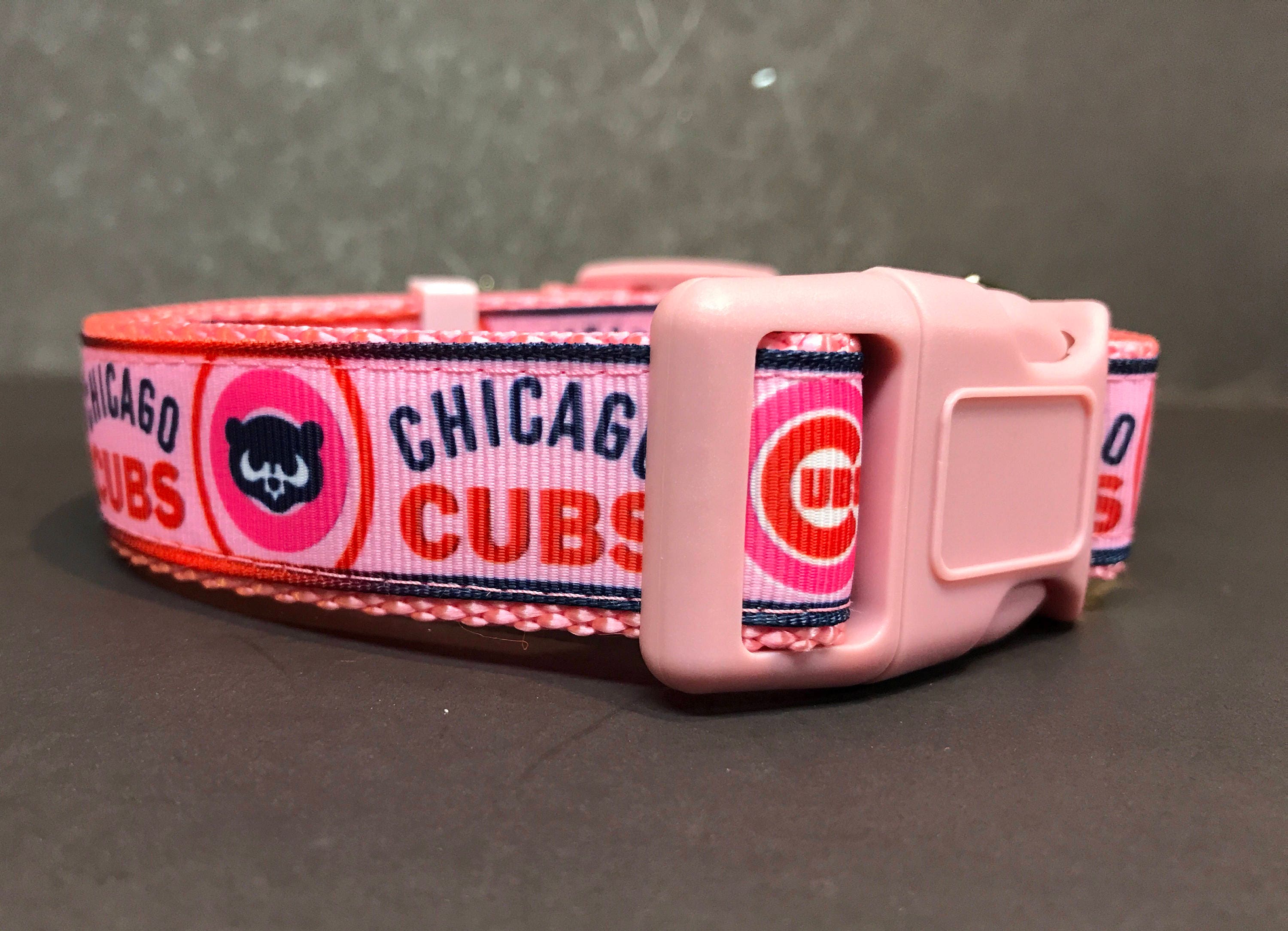 cubs dog collar