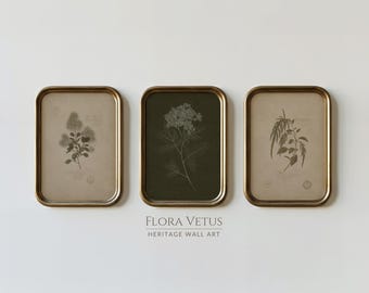 May include: Three rectangular wall art pieces in metallic bronze frames. Each frame contains a botanical illustration of a plant on a neutral background. The text FLORA VETUS HERITAGE WALL ART is printed in small, dark letters below the centre frame.