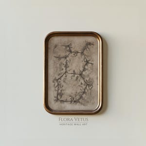 Op de afbeelding: Een ingelijste botanische print met een gedetailleerde, abstracte tekening van onderling verbonden plantencellen. Het kunstwerk bevindt zich in een rechthoekige, goudkleurige lijst. De tekst "FLORA VETUS HERITAGE WALL ART" staat onderaan.