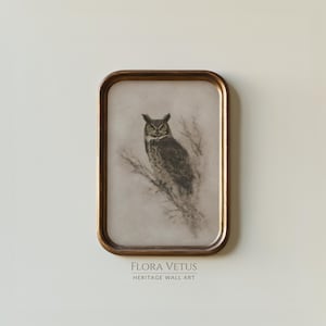 May include: A framed vintage print featuring a detailed illustration of an owl perched on a branch. The artwork is in shades of brown and gray, set within a gold-toned frame. The text "FLORA VETUS HERITAGE WALL ART" is displayed at the bottom.