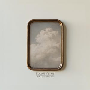 May include: A framed print featuring a cloudy sky in shades of gray and white. The artwork is enclosed in a rectangular, ornate, bronze-colored frame. The text "FLORA VETUS HERITAGE WALL ART" is at the bottom.