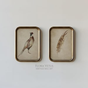 May include: Two framed prints featuring vintage-style illustrations. One print depicts a pheasant, the other a feather. Both are in gold-toned frames with a beige background. The text "FLORA VETUS HERITAGE WALL ART" is below the prints.