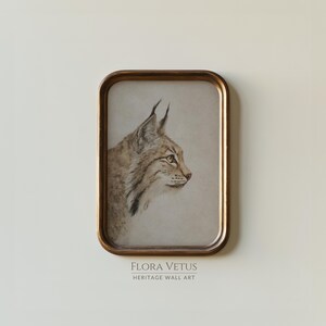 Framed bobcat portrait print in an antique brass frame on a pale wall, vintage wildlife study on aged paper.