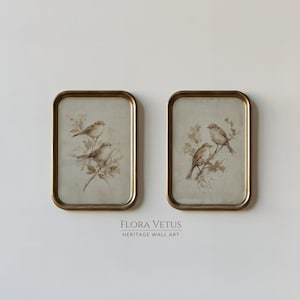 May include: Two framed vintage-style bird prints. Each print features a pair of small birds perched on branches, rendered in soft brown and beige tones. The frames are rectangular with rounded corners and a gold finish. The text "FLORA VETUS HERITAGE WALL ART" is below the frames.