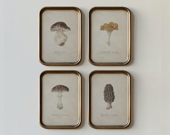 May include: Four framed botanical prints showcasing detailed illustrations of various mushroom species. Each print is in a rectangular gold frame. The mushrooms are depicted in shades of brown, beige, and white against a neutral background.