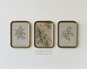 May include: Three rectangular wall art pieces in gold frames featuring botanical illustrations of mistletoe and evergreen sprigs on a light background. The text FLORA VETUS HERITAGE WALL ART is printed in small dark letters below the centre frame.