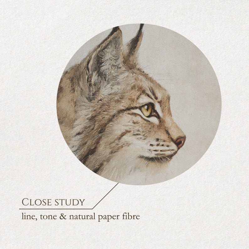 Circular crop close-up of the bobcat’s face, focused on whiskers, muzzle markings, and muted fur tones.