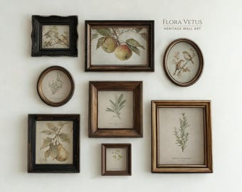 May include: A gallery wall set of eight framed botanical and fruit prints with dark wood and gold-toned frames. The collection includes rectangular, square, and oval shapes featuring illustrations of birds, apples, pears, and herbs with the text Flora Vetus.