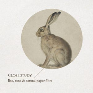 Circular crop of the hare illustration focusing on the animal’s form and fine detail.
