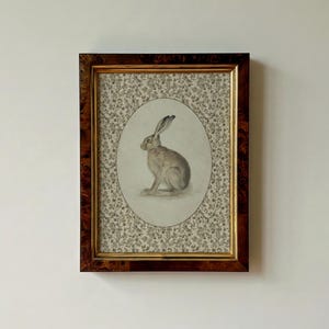 Hare portrait in a rectangular vintage frame on a neutral wall, emphasizing balanced composition.