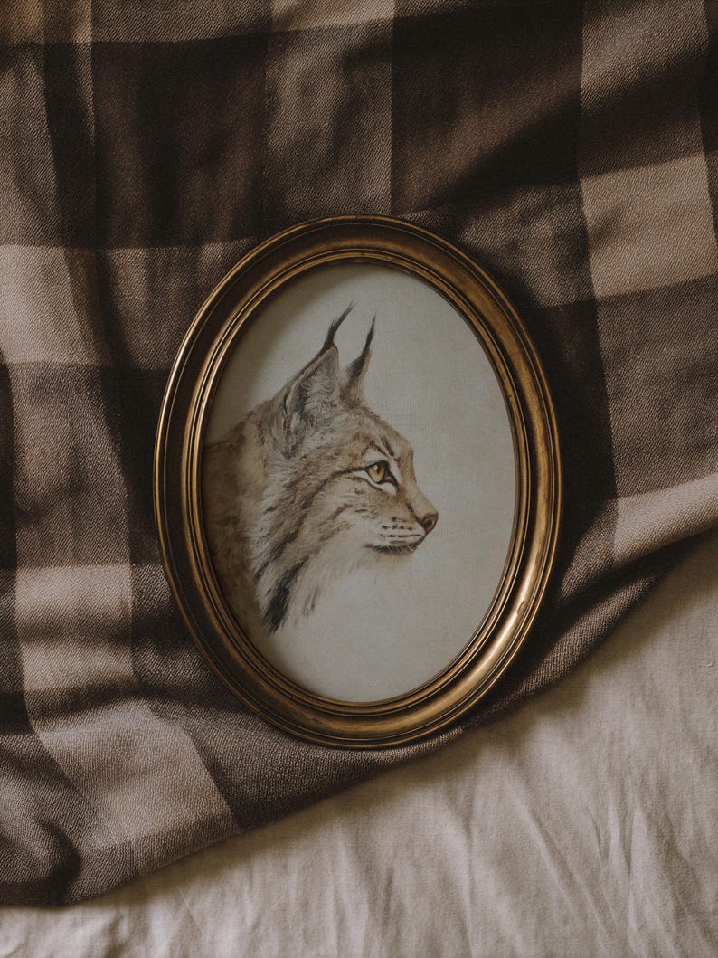Oval framed bobcat portrait styled on rumpled linen, vintage vignette with soft natural light.