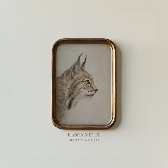 Bobcat Print: Moody Lynx Illustration, Rustic Heritage Decor (Digital Download)