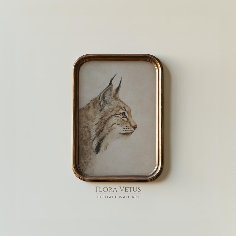 Framed bobcat portrait print in an antique brass frame on a pale wall, vintage wildlife study on aged paper.