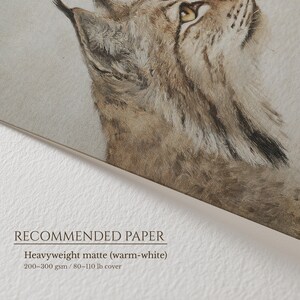 Angled detail of the bobcat print on textured paper with “Recommended Paper” note, highlighting grain and patina.