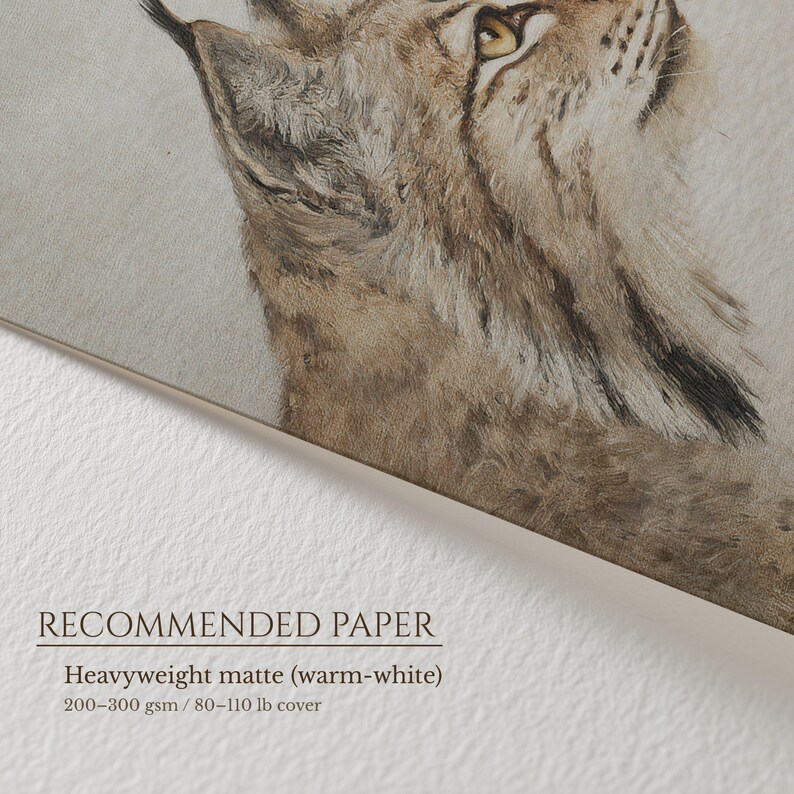 Angled detail of the bobcat print on textured paper with “Recommended Paper” note, highlighting grain and patina.