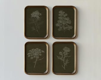 May include: Four framed botanical prints. Each print features a detailed, white illustration of a different plant against a dark green background. The frames have a gold finish, and the arrangement is square.