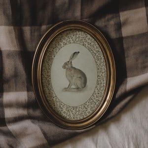 Oval-framed hare artwork resting on draped fabric, highlighting antique tones and soft light.