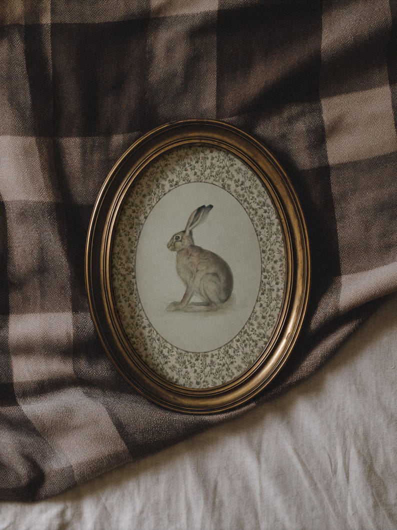 Oval-framed hare artwork resting on draped fabric, highlighting antique tones and soft light.