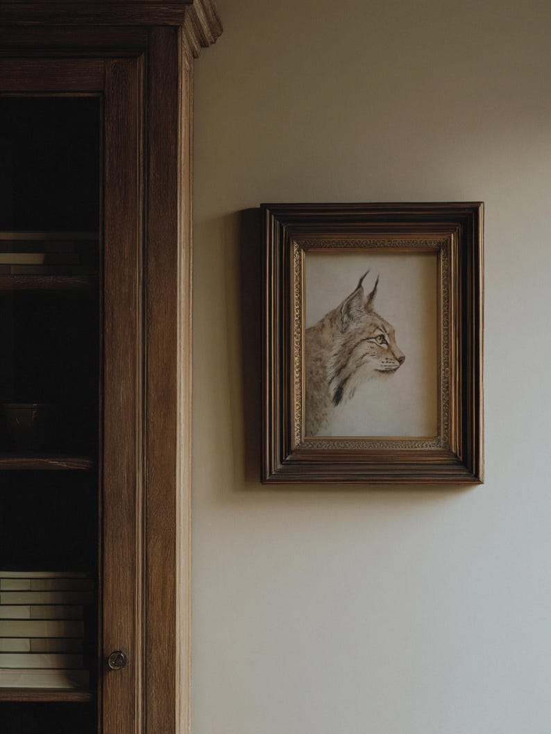 Small framed bobcat print on a darker wall in low light, cabinet-like study atmosphere.