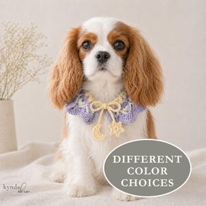 Pode incluir: Um Cavalier King Charles Spaniel usando uma coleira de croch&ecirc; lil&aacute;s e amarela com um pingente de lua e estrela. A imagem inclui o texto "DIFFERENT COLOR CHOICES".
