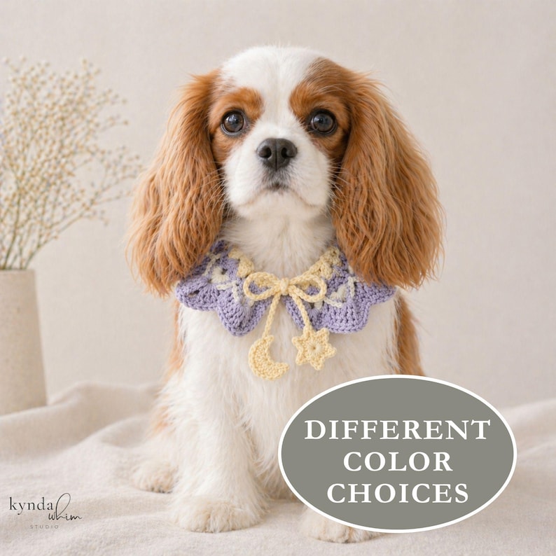 Pode incluir: Um Cavalier King Charles Spaniel usando uma coleira de croch&ecirc; lil&aacute;s e amarela com um pingente de lua e estrela. A imagem inclui o texto "DIFFERENT COLOR CHOICES".