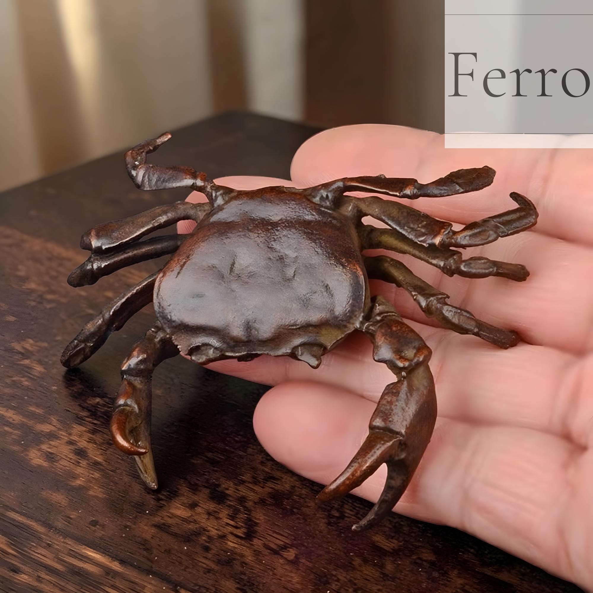 Taxidermy crab - Etsy 日本