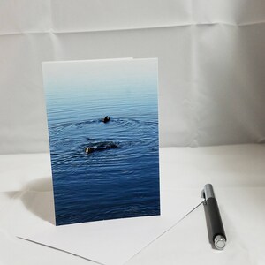 Carte de note pliée blanche faite à la main - photographie animale - Loutres, Californie - Enveloppe incluse - ensemble de 3 - photographie de voyage