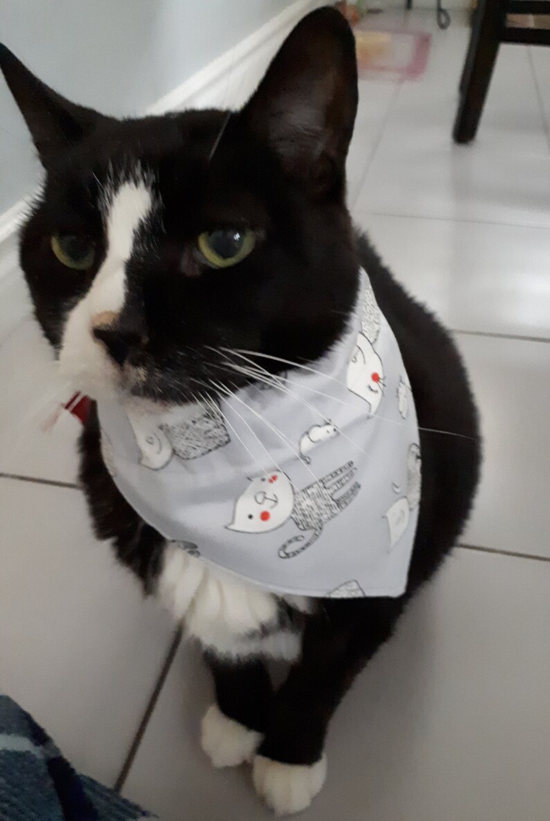 Small Pet Bandana Handmade Pet Bandana for Cat or Dog Reversible Pet Bandana.