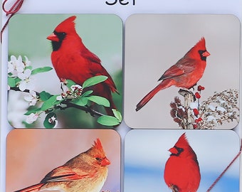 Cardinal coasters, Northern cardinal coasters, bird coasters, nature coasters