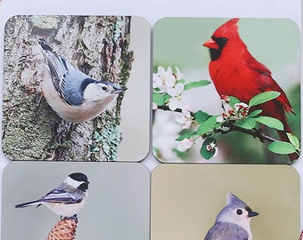 Backyard birds coaster set, bird coasters, chickadee coasters, nuthatch coasters, cardinal coasters, tufted titmouse coasters