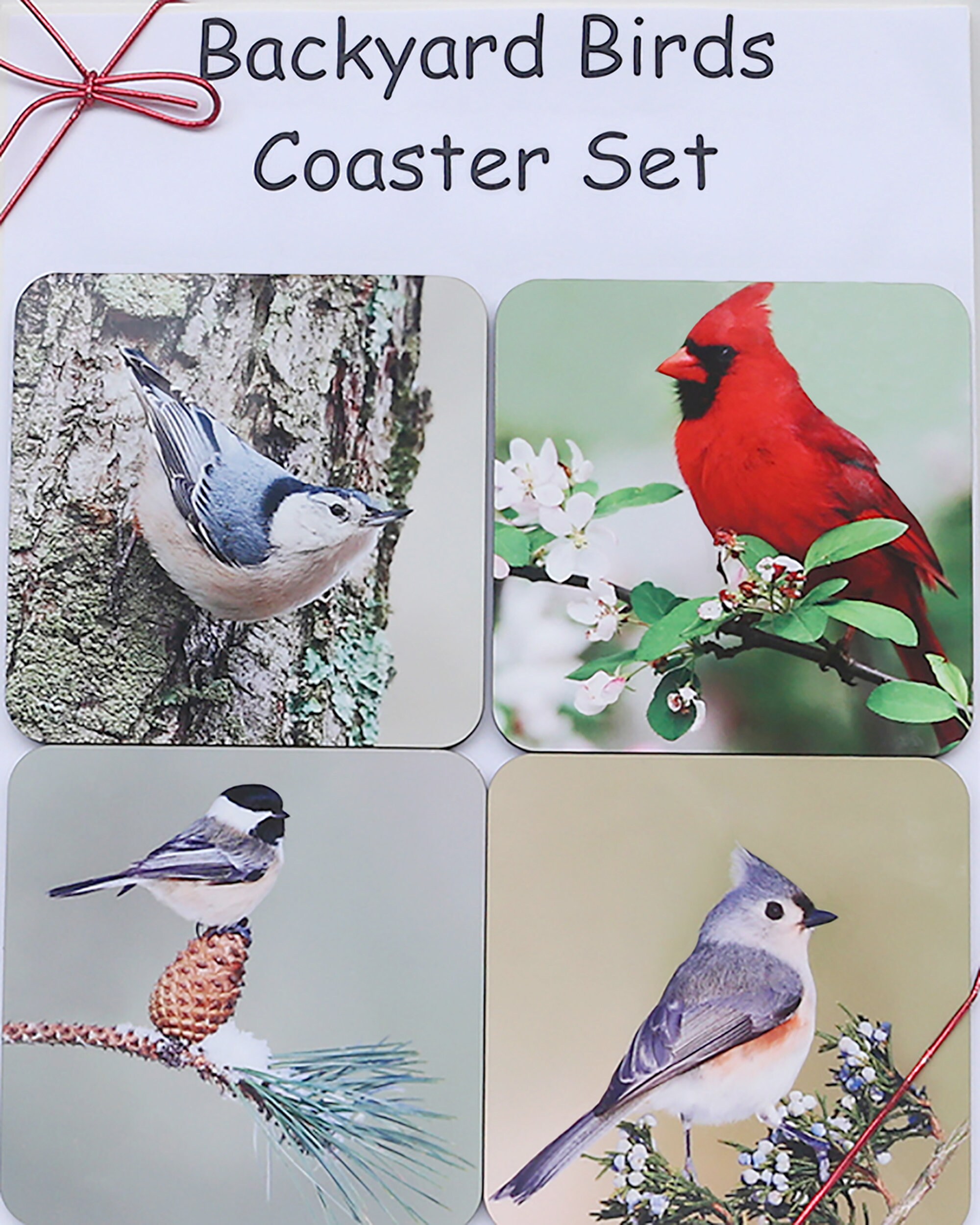 Backyard Birds Coaster Set, Bird Coasters, Chickadee Coasters, Nuthatch