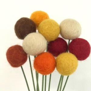 Könnte beinhalten: Ein Strauß Filzkugeln in verschiedenen Farben, darunter Orange, Gelb, Rot, Braun und Creme. Die Filzkugeln sind an grünen Stielen befestigt und bilden ein skurriles Blumenarrangement vor weißem Hintergrund.
