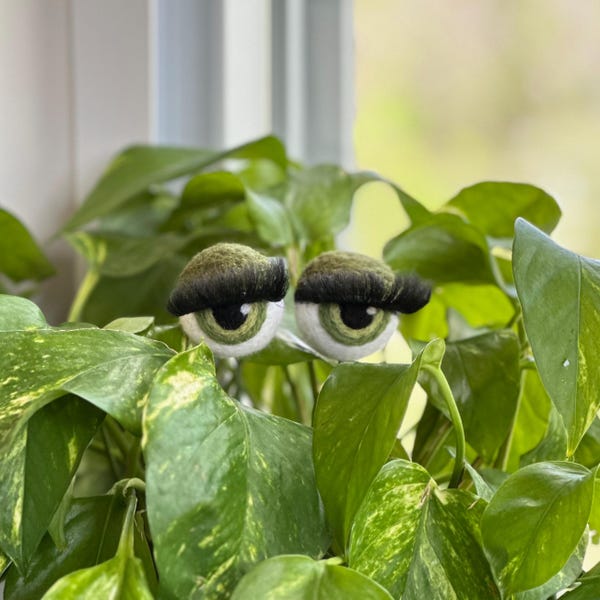 Felt Planter Eyeballs with Eyelashes - Gifts for Plant Lovers - Plant Stakes - Funny gifts