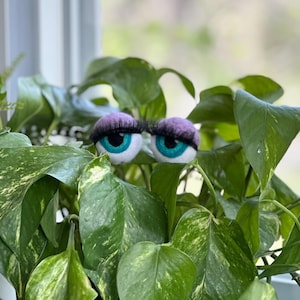 Peut inclure: Deux grands yeux bleus avec des paupi&egrave;res violettes et de longs cils d&eacute;passent d'une plante verte feuillue.