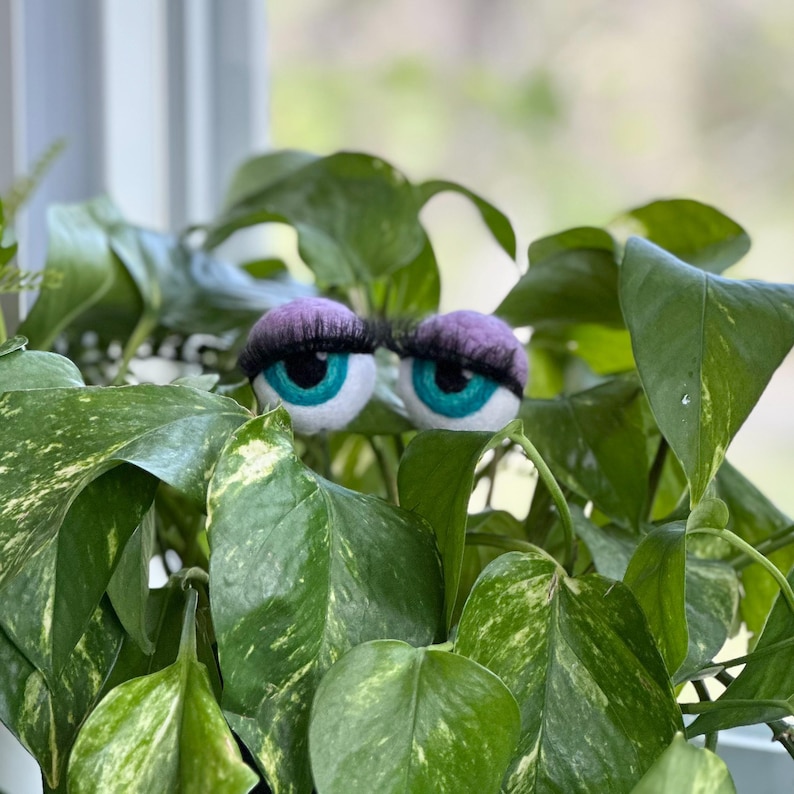 Peut inclure: Deux grands yeux bleus avec des paupi&egrave;res violettes et de longs cils d&eacute;passent d'une plante verte feuillue.