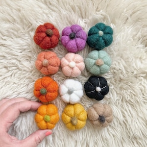 May include: Twelve felt pumpkins in various colors, including orange, green, pink, white, and black. The pumpkins are arranged in a circle on a white fluffy surface.