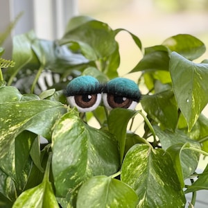 Peut inclure: Une paire de grands yeux en feutre avec des paupi&egrave;res vertes et des iris bruns qui d&eacute;passent d'une plante verte feuillue.