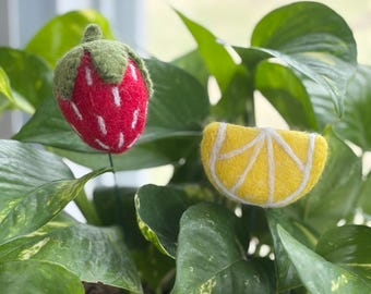 Sommer Planter Pals - Erdbeer-Zitronen-Seestern & Pflanzenliebhaber-Geschenk