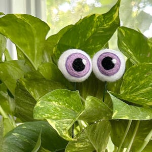 Felt Plant Eyeballs