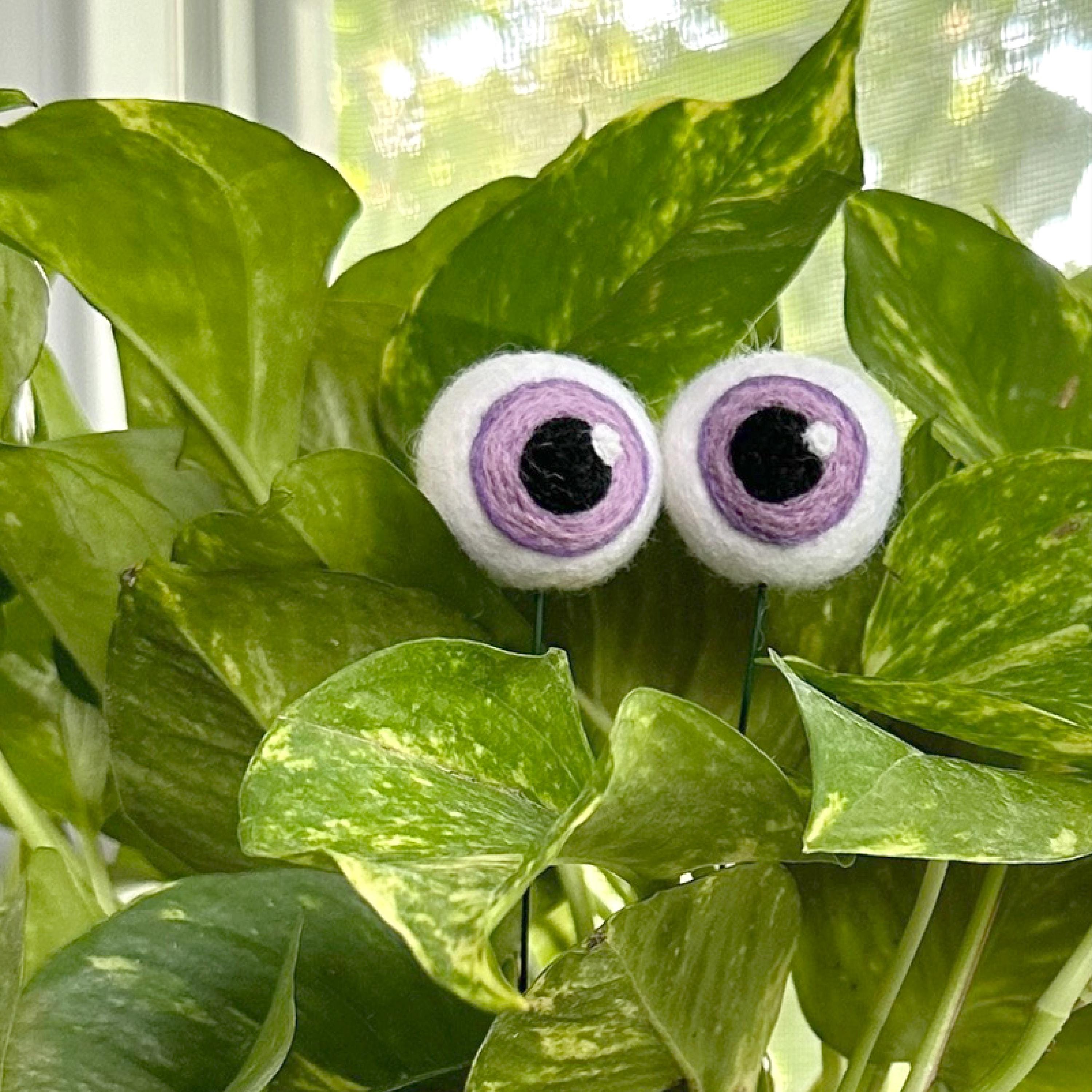 Felt Plant Eyeballs - Etsy