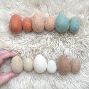 Felt Eggs Farm Fresh Collection Set of 6 or 12 image 8