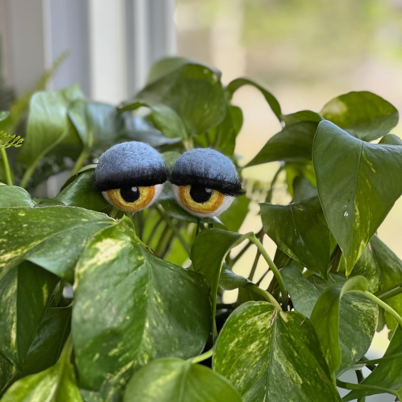 Peut inclure: Deux grands yeux en feutre bleu avec des cils noirs et des iris jaunes qui d&eacute;passent d'une plante verte feuillue.