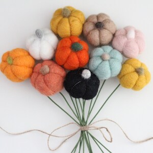 Custom Felt Pumpkin Bouquet: Fall Floral Stems, Choose Your Colors
