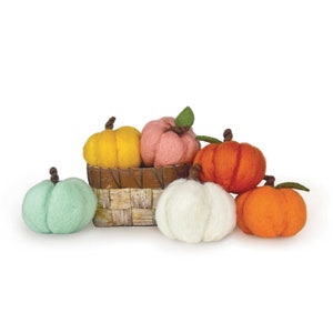 May include: A set of six felt pumpkins in various colors, including green, white, orange, yellow, and pink. The pumpkins are arranged in a small woven basket.