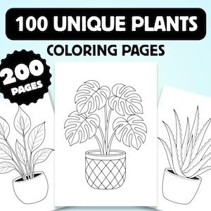 Può includere: Disegni a tratto in bianco e nero di piante su carta bianca. Il testo in alto recita "100 PAGINE DA COLORARE DI PIANTE UNICHE". L'immagine include una pianta di Monstera, una Spathiphyllum e una pianta di aloe vera. L'immagine include anche il testo "200 PAGINE".