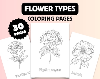 Elegant Floral Coloring Pages: 30 Printable Flower Illustrations (PDF Download)