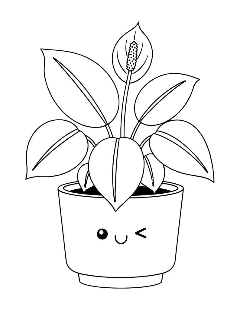 May include: Black and white line art illustration of a potted plant. The plant has large, oval leaves and a single flower. The pot has a smiling face with a winking eye.