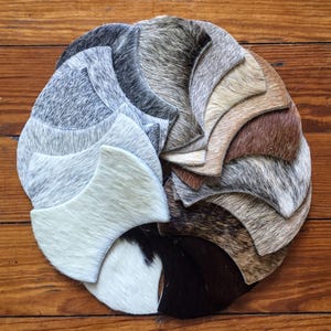 A circular arrangement of various animal fur samples, including white, gray, brown, and black, displayed on a wooden surface.