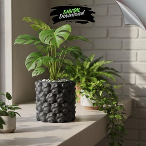 Puede incluir: Una planta de Monstera en maceta con hojas grandes y verdes se encuentra en una maceta gris oscuro texturizada. La maceta tiene un diseño único y con bultos. También se incluyen otras plantas en macetas y el texto "DIGITAL DOWNLOAD".